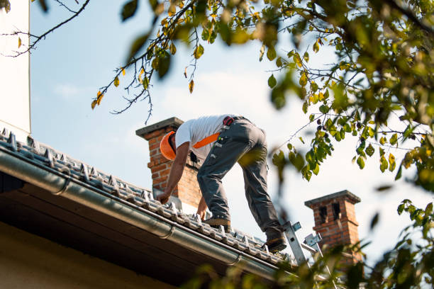 Best Roof Leak Repair  in St Charles, MI